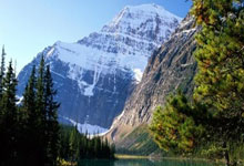 天涯神贴网盘：江湖人的秘密战场